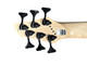 Dingwall NG3 Gold Metallic 6 String Bass At Bass Central