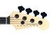 Lakland Skyline 44-64 GZ FRETLESS, Trans Purple/Lined Ebony/ Geezer Butler 4 String Bass At Bass Central