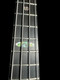 Alembic Stanley Clarke "Brown Bass", Flame Walnut  4 String Bass At Bass Central