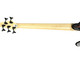 Dingwall D-Roc 5, Matte Vintage Burst w/ Pau Ferro  5 String Bass At Bass Central