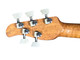 US Masters Trans Green/Maple Used 5 String Bass At Bass Central