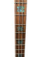Spector USA NS-2, Bahama Blue Gloss 4 String Bass At Bass Central