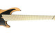 Dingwall Combustion  Natural/MAPLE Nashville Edition 6 String  6 String Bass At Bass Central