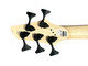 Dingwall Combustion 5 (3 Pickup), Whalepool Burst w/Pau Ferro  5 String Bass At Bass Central