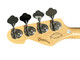 SANDBERG "BASS THE WORLD" (TT-4), Black Matte / Maple  4 String Bass At Bass Central