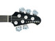 Skyline 55-02 Deluxe FRETLESS, Quilt w/ Lined Ebony 5 String Bass At Bass Central