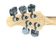 Skyline 55-02 Deluxe FRETLESS, Quilt w/ Lined Ebony 5 String Bass At Bass Central