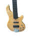 Skyline 55-02 Deluxe FRETLESS, Quilt w/ Lined Ebony 5 String Bass At Bass Central