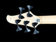 Dingwall D-Roc 5, Ducati White/ Pau Ferro 5 String Bass At Bass Central