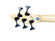 Dingwall Combustion 5 (3 Pickup) Kyle Konkiel Signature Bass 5 String Bass At Bass Central