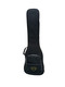 Dingwall Combustion 5 (3 Pickup) Kyle Konkiel Signature Bass 5 String Bass At Bass Central