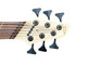 Dingwall Combustion Ultravioletburst NASHVILLE Edition 6 String Bass At Bass Central