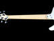 Dingwall D-Roc 5, Ducati White/ Pau Ferro 5 String Bass At Bass Central