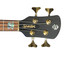 Spector USA NS-2, Custom Matte Green-Blue Burst 4 String Bass At Bass Central