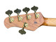 Ernie Ball Music Man StingRay 5HH Special, Jackpot / Roasted Maple 5 String Bass At Bass Central