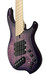 Dingwall, Nashville, Combustion, Neve, Ultra Violet, 5-string, Bass guitar