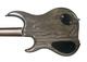 Dingwall, z5, z-5, darkglass, electric bass, 5 string bass, fanned frets, bass guitar, canadian made