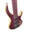 MTD (USA) 535-24, Purpleheart / Purpleheart FB  5 String Bass At Bass Central