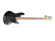 Sandberg Cal. TT-4 SuperLight, Black Matte / Pau Ferro 4 String Bass At Bass Central