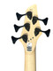 Dingwall John Taylor Signature JTS (5) Seafoam Green/Pau Ferro  5 String Bass At Bass Central