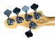 Sandberg Cal. TM-5 SuperLight, Black / Roasted Neck / Pau Ferro 5 String Bass At Bass Central