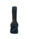 Sandberg TT-5 SuperLight, Matte Black /Pau Ferro 5 string Bass At Bass Central