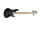 Sandberg TT-5 SuperLight, Matte Black /Pau Ferro 5 string Bass At Bass Central