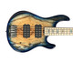 Ernie Ball Music Man 2025 BFR LTD Edition StingRay 5 HH, Paua Blue/Maple  5 String Bass At Bass Central