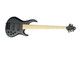 MTD (USA) 535-24, Black Matte / BEM FB *RARE!* 5 String Bass At Bass Central