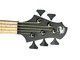 MTD (USA) 535-24, Black Matte / BEM FB *RARE!* 5 String Bass At Bass Central