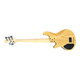 Lakland Skyline 55-02 Deluxe FRETLESS 5 String Fretless Bass At Bass Central