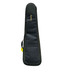 Sadowsky NYC 5, Honeyburst Flame, Ebony Fingerboard 5 String Bass At Bass Central