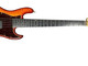 Sadowsky NYC 5, Honeyburst Flame, Ebony Fingerboard 5 String Bass At Bass Central