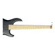 MTD (USA) Saratoga 5, Black Birdseye Maple  5 String Bass At Bass Central
