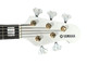 Yamaha Nathan East Signature 5, White / Ebony 5 String Bass At Bass Central