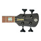 Spector USA NS-2, Haunted Moss / Pau Ferro 8.2 LBS  4 String Bass At Bass Central
