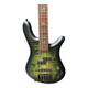 Spector USA NS-2, Haunted Moss / Pau Ferro 8.2 LBS  4 String Bass At Bass Central