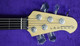 Lakland, Bass guitar, 55-02, 5502, fretless bass, lined fretless, ebony, black sparkle