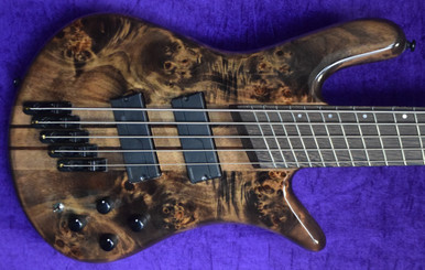 ベース Spector NS dimension-5 NS Dimension 5 - Spector Bass