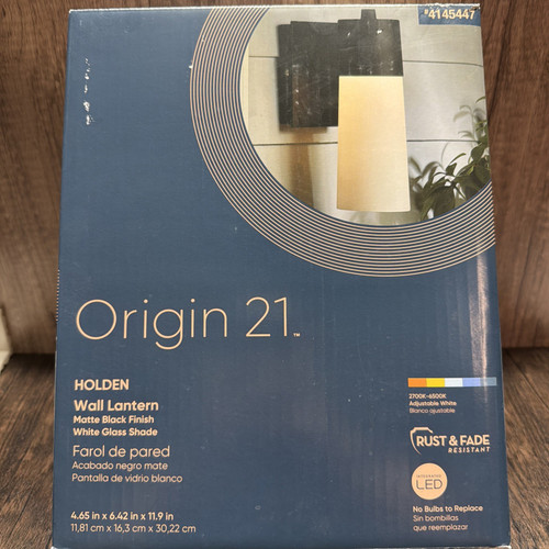 Origin 21 Holden Outdoor Wall Sconce Matte Black LED Hardwired Glass Shade