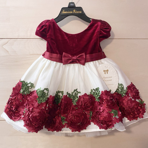 American Princess Baby Girl Dress 9M Red Velvet Floral Tulle Holiday NWT