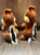Disney Parks Chip and Dale Plush Set Authentic Disney Stuffed Animals Chipmunk Duo Plush Toys, Collectible Park Souvenir – Vintage Pre-Owned