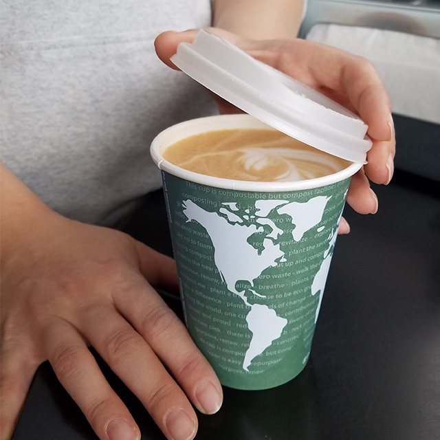 World Art Cups & Lids