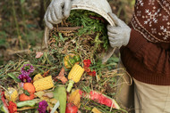 Waste Less, Gain More: The Many Lasting Benefits of Composting