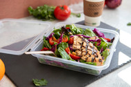 Reusables in Foodservice 101: Discover How Reusable Containers Can Work for You
