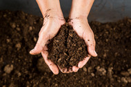 Growing the Market for Finished Compost: Why End-Market Demand Matters