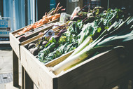 How Composting Supports Sustainable Agriculture