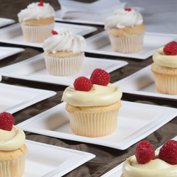 Square Plates & Lids