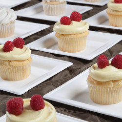 Square Plates & Lids