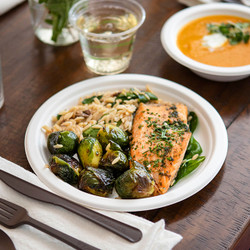 Plates & Lids